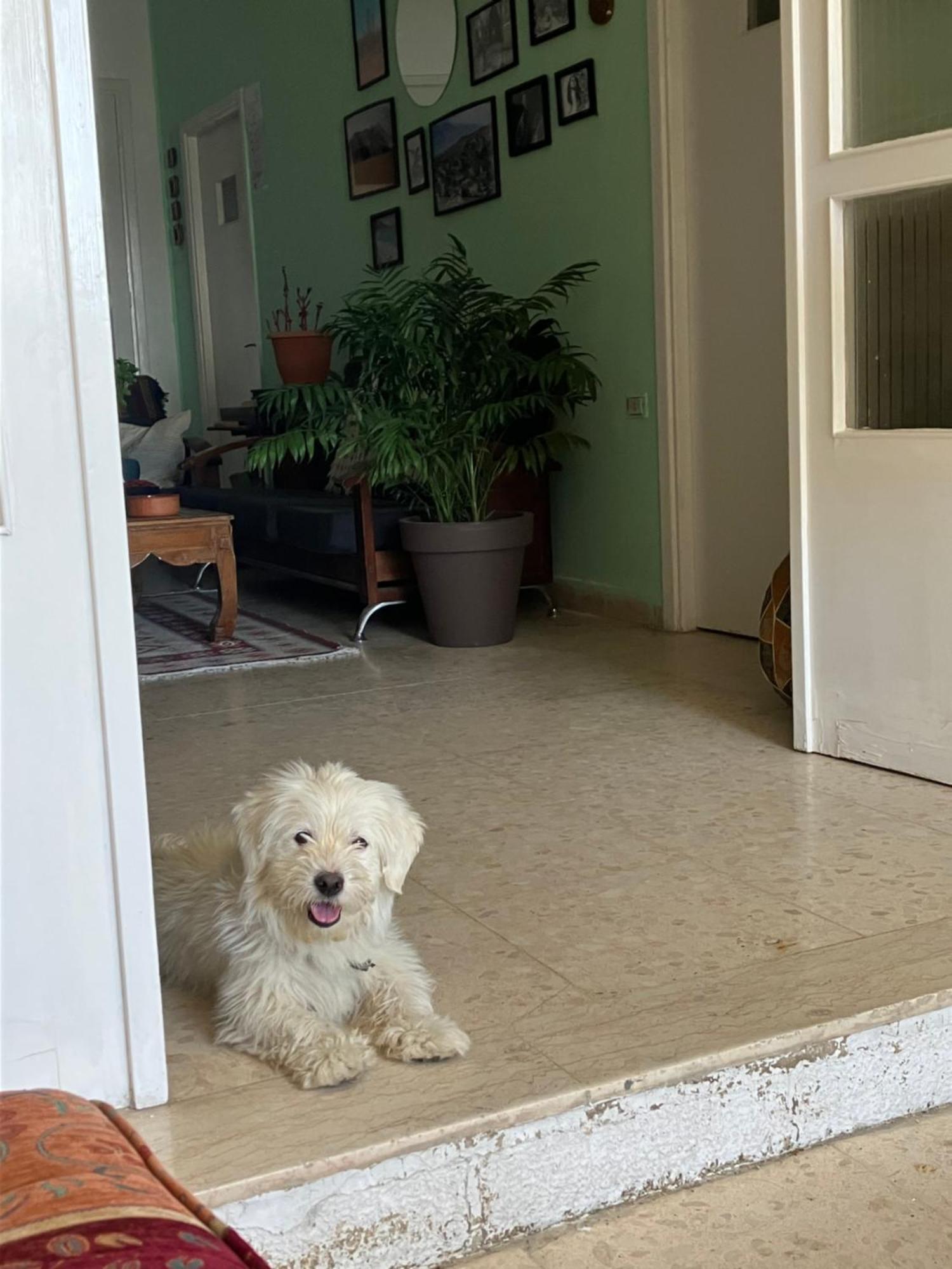 Darna Hostel Amman Bagian luar foto
